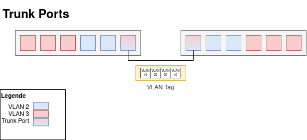 vlan_trunk_ports.drawio.png